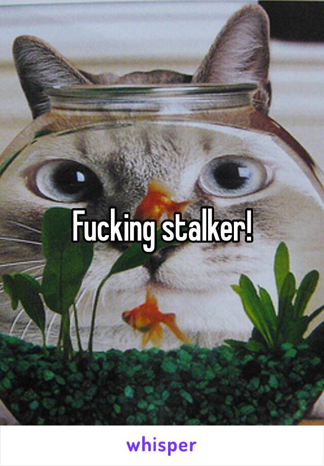 Fucking stalker!