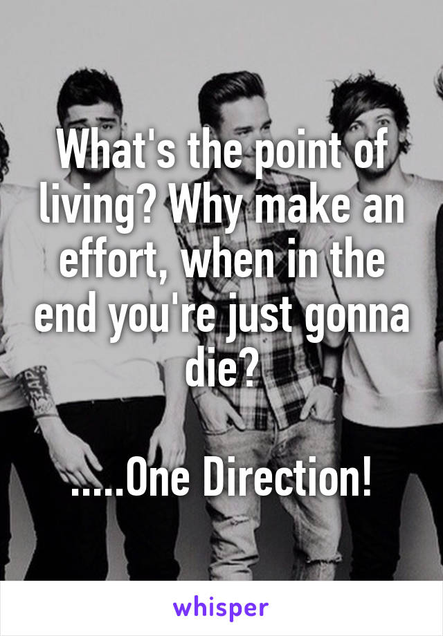 What's the point of living? Why make an effort, when in the end you're just gonna die?

.....One Direction!