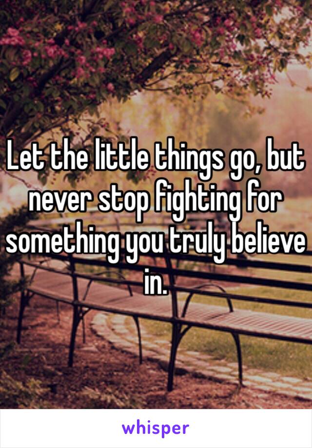 Let the little things go, but never stop fighting for something you truly believe in.