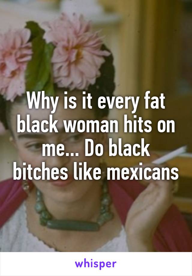 Why is it every fat black woman hits on me... Do black bitches like mexicans
