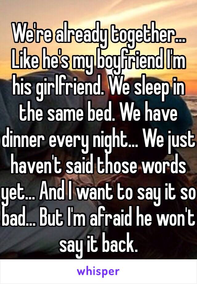 We're already together... Like he's my boyfriend I'm his girlfriend. We sleep in the same bed. We have dinner every night... We just haven't said those words yet... And I want to say it so bad... But I'm afraid he won't say it back. 