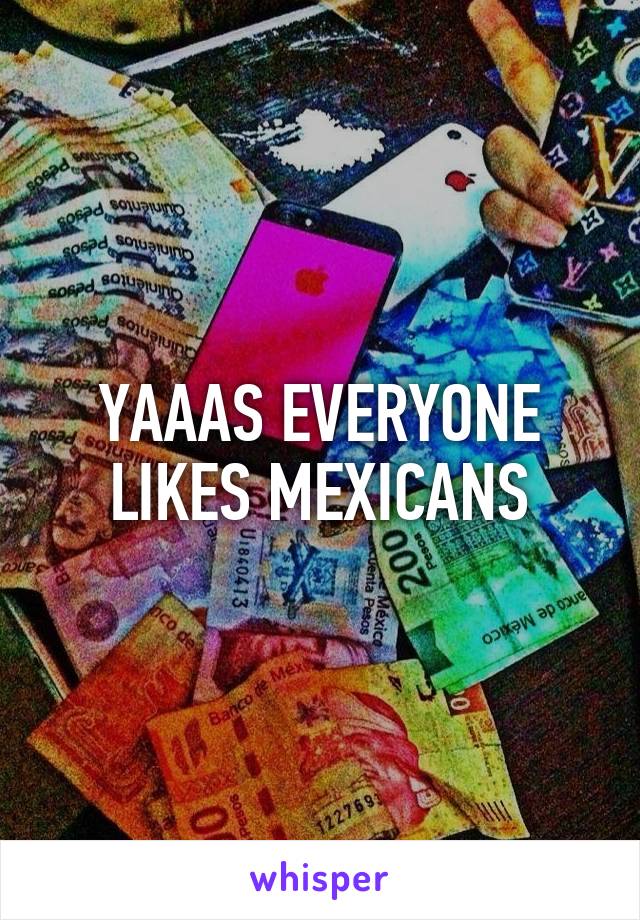 YAAAS EVERYONE LIKES MEXICANS