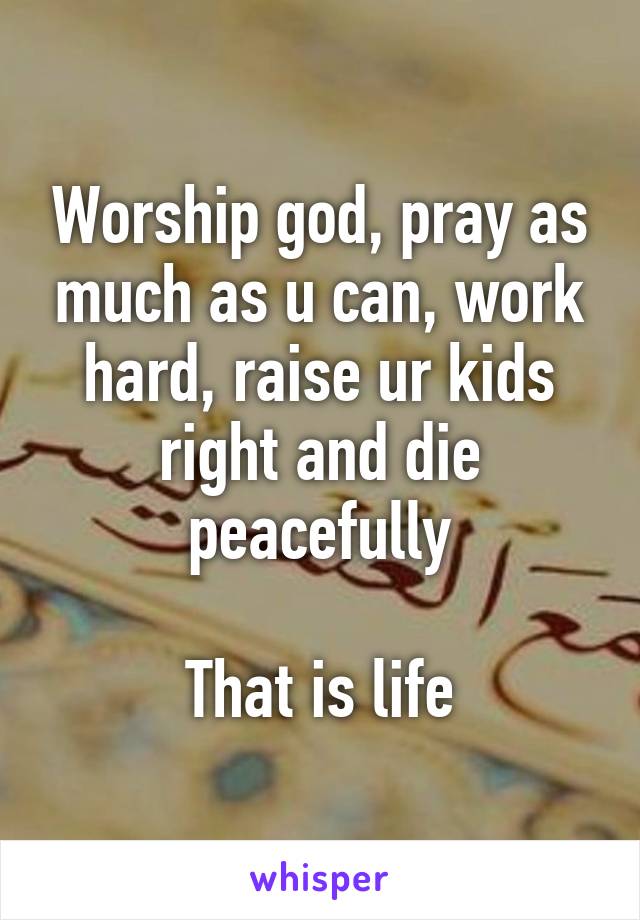 Worship god, pray as much as u can, work hard, raise ur kids right and die peacefully

That is life