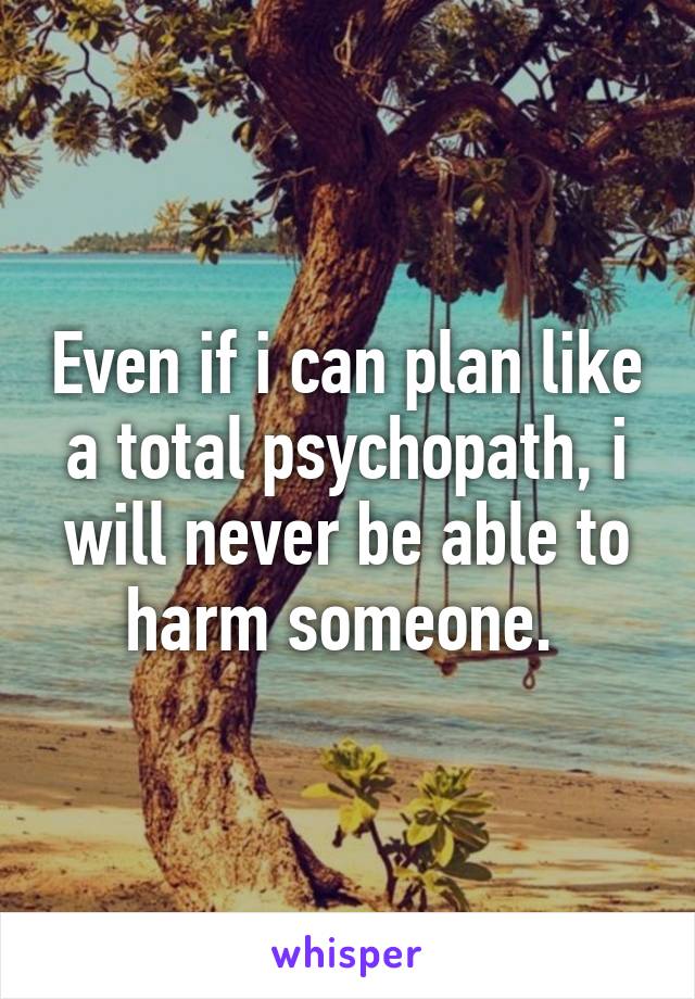 Even if i can plan like a total psychopath, i will never be able to harm someone. 