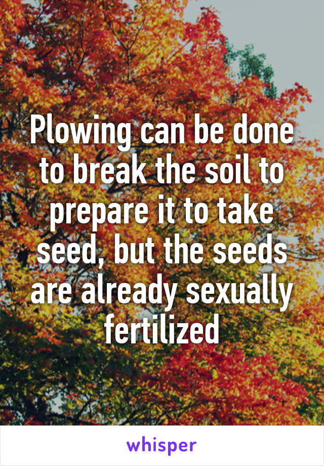 Plowing can be done to break the soil to prepare it to take seed, but the seeds are already sexually fertilized