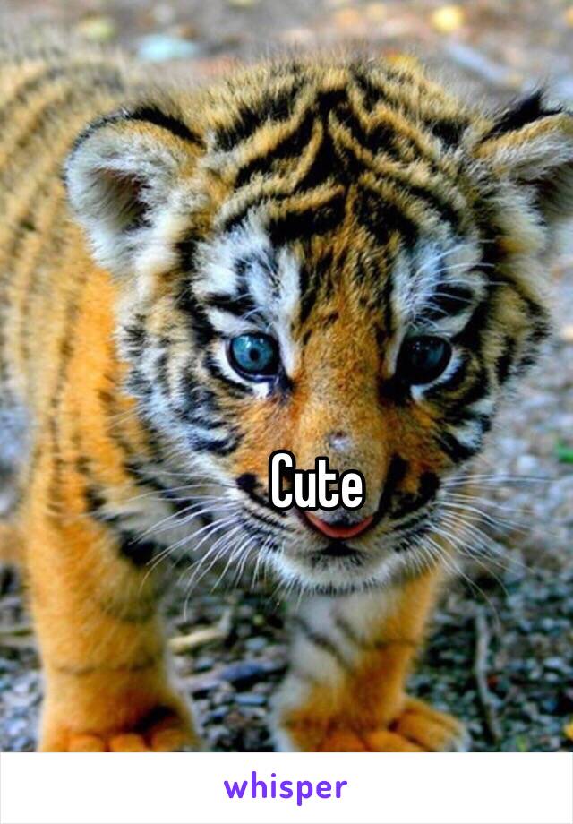 Cute