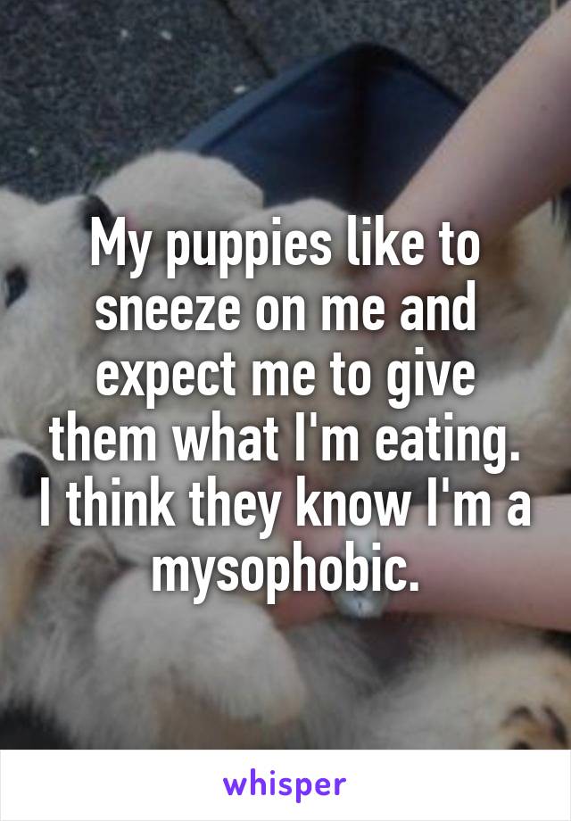 My puppies like to sneeze on me and expect me to give them what I'm eating. I think they know I'm a mysophobic.