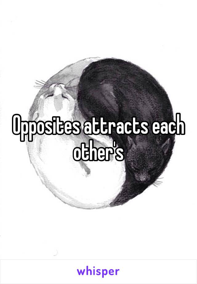 Opposites attracts each other's 