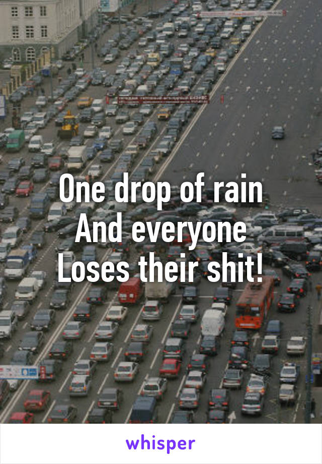 One drop of rain
And everyone
Loses their shit!