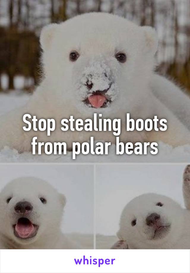 Stop stealing boots from polar bears