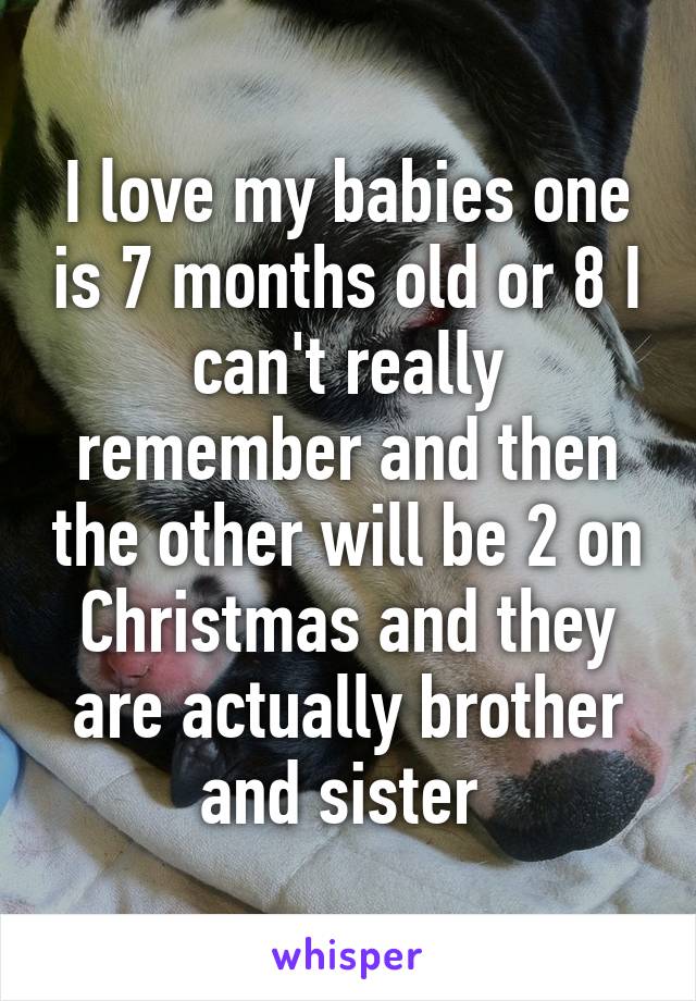 I love my babies one is 7 months old or 8 I can't really remember and then the other will be 2 on Christmas and they are actually brother and sister 