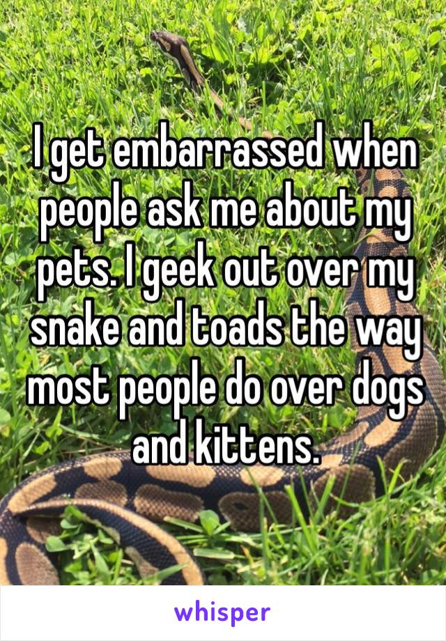 I get embarrassed when people ask me about my pets. I geek out over my snake and toads the way most people do over dogs and kittens. 
