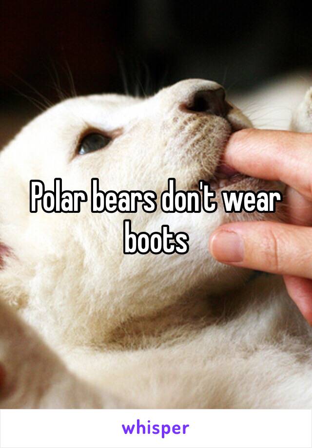 Polar bears don't wear boots