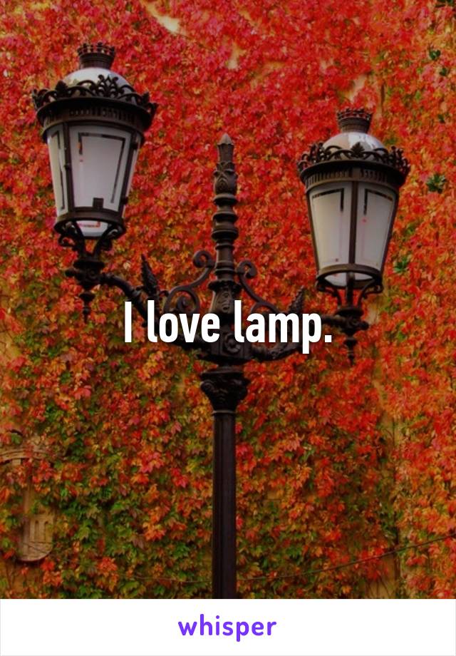 I love lamp.