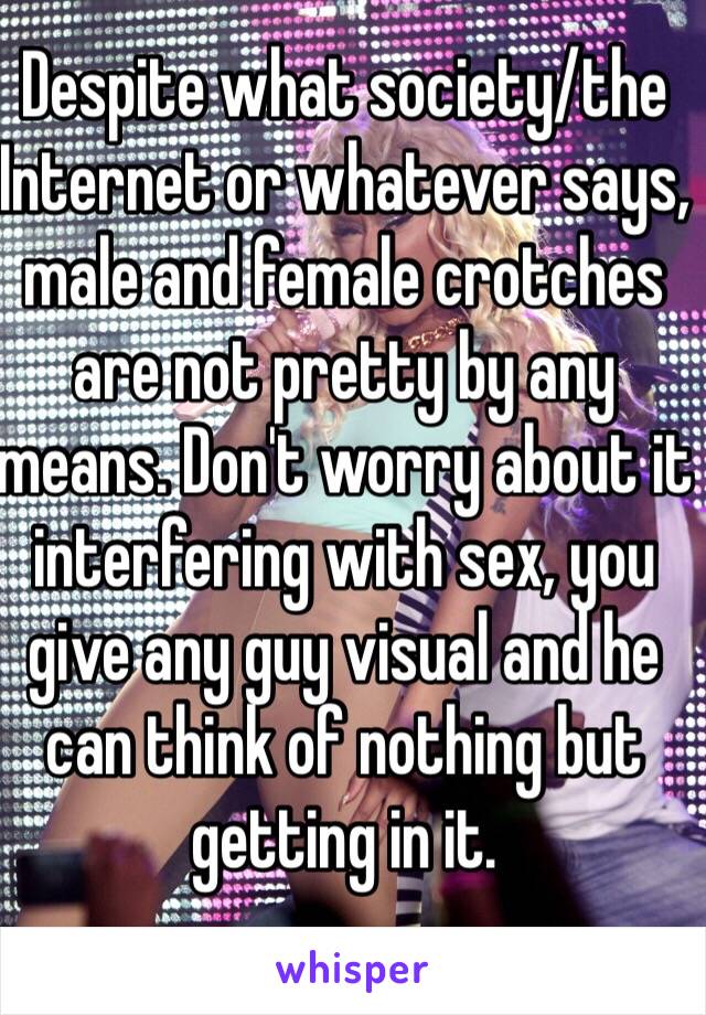 Despite what society/the Internet or whatever says, male and female crotches are not pretty by any means. Don't worry about it interfering with sex, you give any guy visual and he can think of nothing but getting in it.