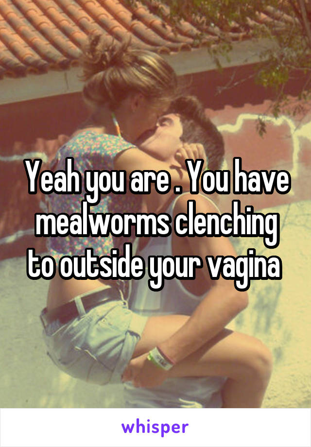 Yeah you are . You have mealworms clenching to outside your vagina 