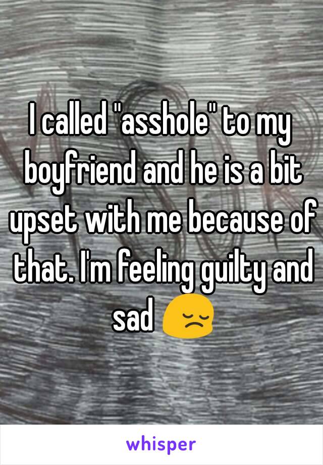 I called "asshole" to my boyfriend and he is a bit upset with me because of that. I'm feeling guilty and sad 😔