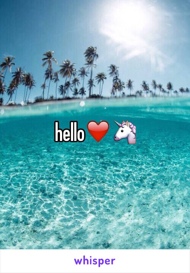 hello❤️🦄