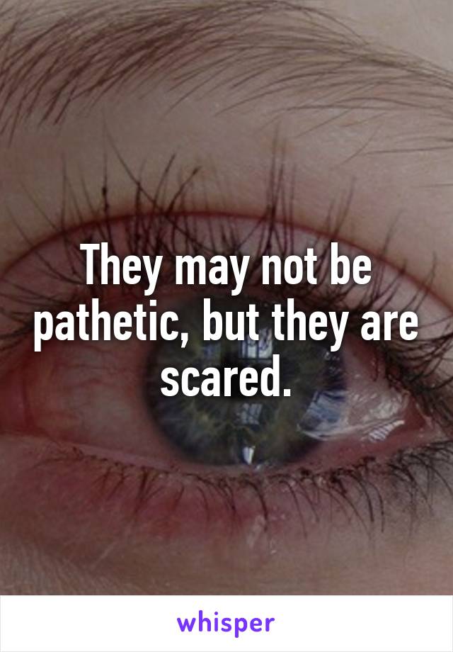 They may not be pathetic, but they are scared.