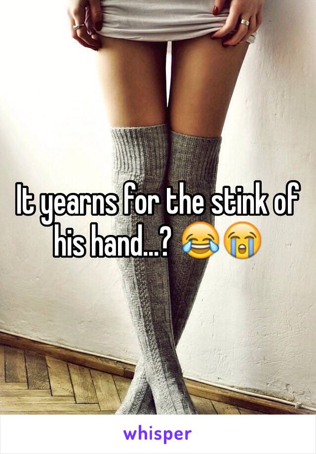 It yearns for the stink of his hand...? 😂😭