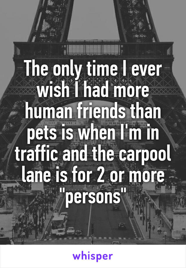 The only time I ever wish I had more human friends than pets is when I'm in traffic and the carpool lane is for 2 or more "persons"