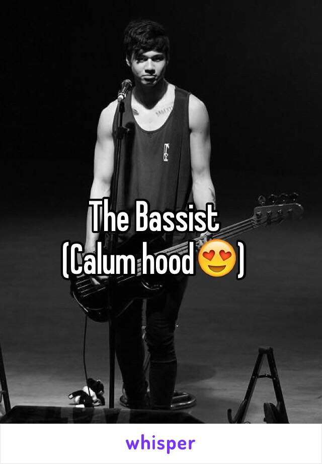 The Bassist 
(Calum hood😍)