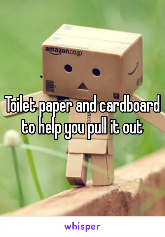 Toilet paper and cardboard to help you pull it out