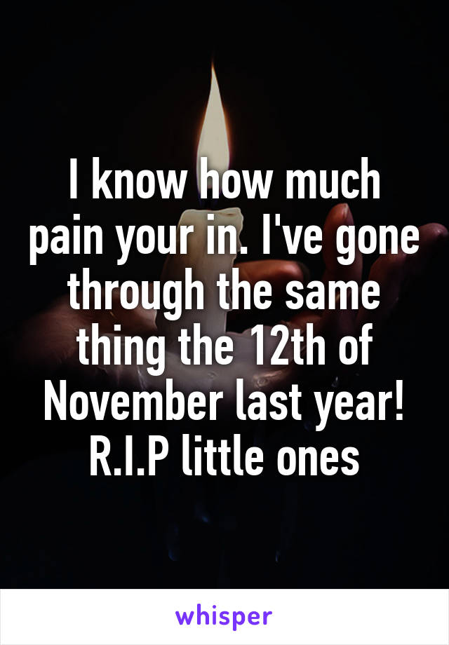 I know how much pain your in. I've gone through the same thing the 12th of November last year! R.I.P little ones