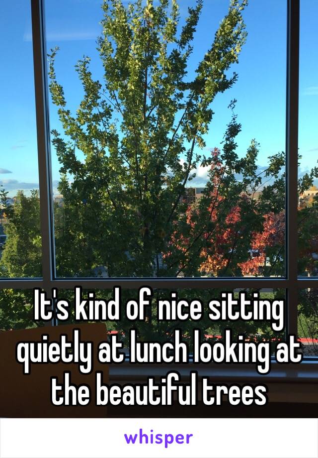 It's kind of nice sitting quietly at lunch looking at the beautiful trees