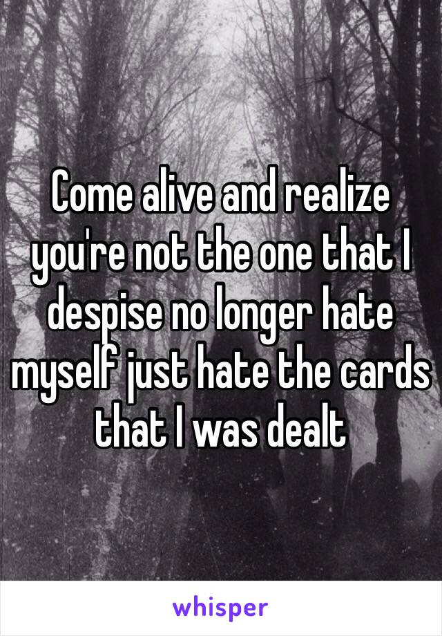 Come alive and realize you're not the one that I despise no longer hate myself just hate the cards that I was dealt