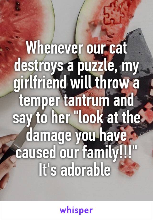 Whenever our cat destroys a puzzle, my girlfriend will throw a temper tantrum and say to her "look at the damage you have caused our family!!!" It's adorable 