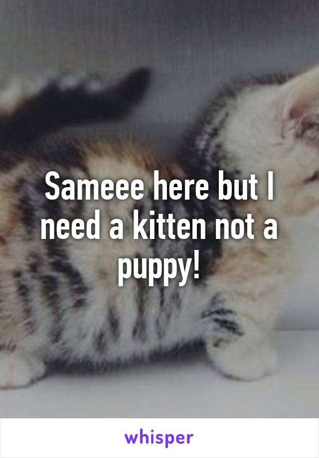Sameee here but I need a kitten not a puppy!