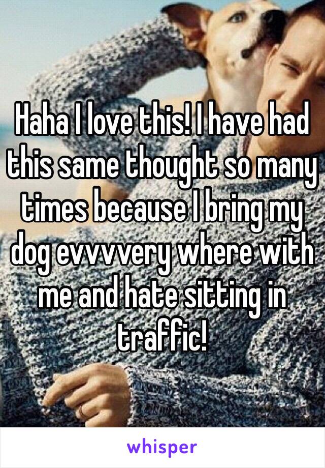 Haha I love this! I have had this same thought so many times because I bring my dog evvvvery where with me and hate sitting in traffic! 