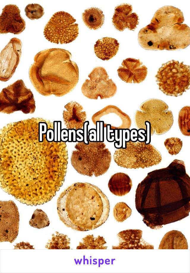 Pollens(all types)