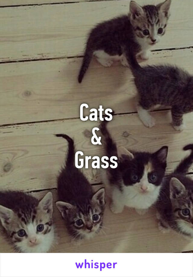 Cats
&
Grass