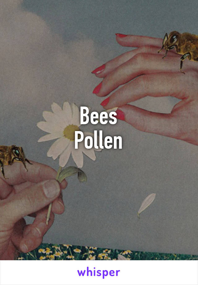 Bees
Pollen
