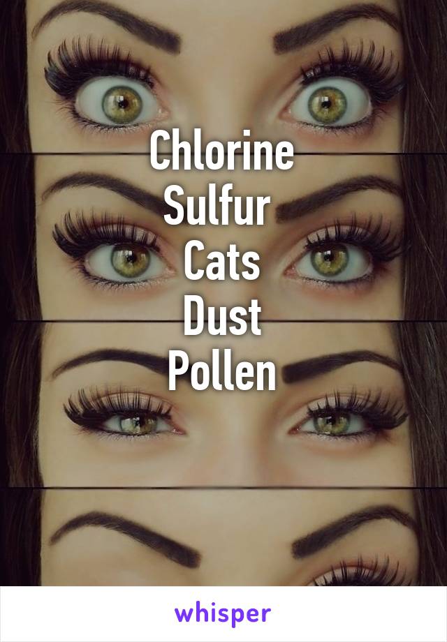 Chlorine
Sulfur 
Cats
Dust
Pollen

