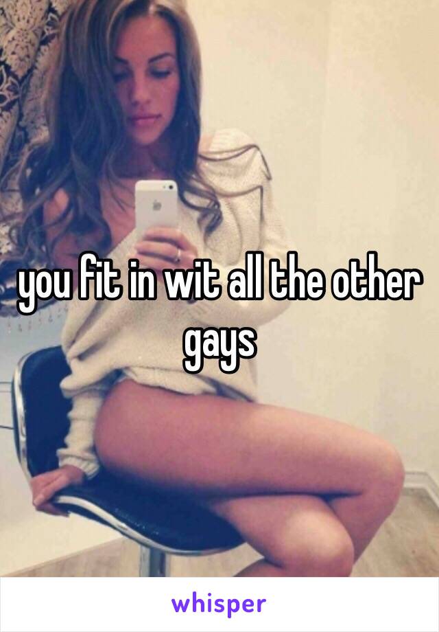you fit in wit all the other gays