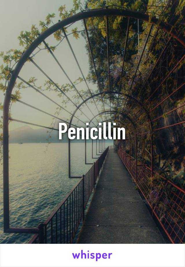 Penicillin