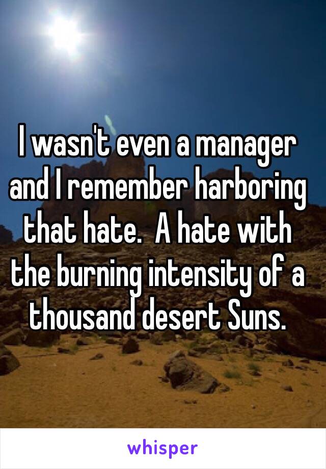 I wasn't even a manager 
and I remember harboring that hate.  A hate with 
the burning intensity of a thousand desert Suns.