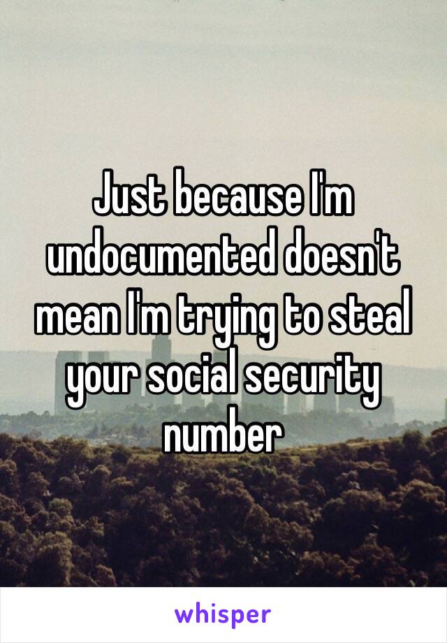 Just because I'm undocumented doesn't mean I'm trying to steal your social security number 