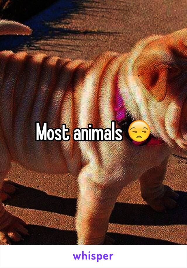 Most animals 😒