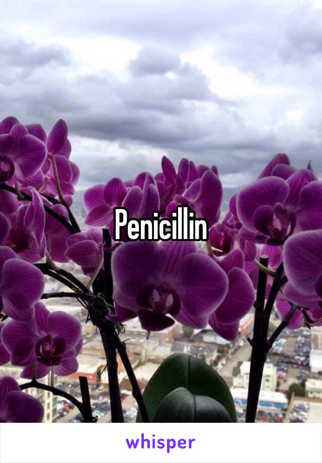 Penicillin