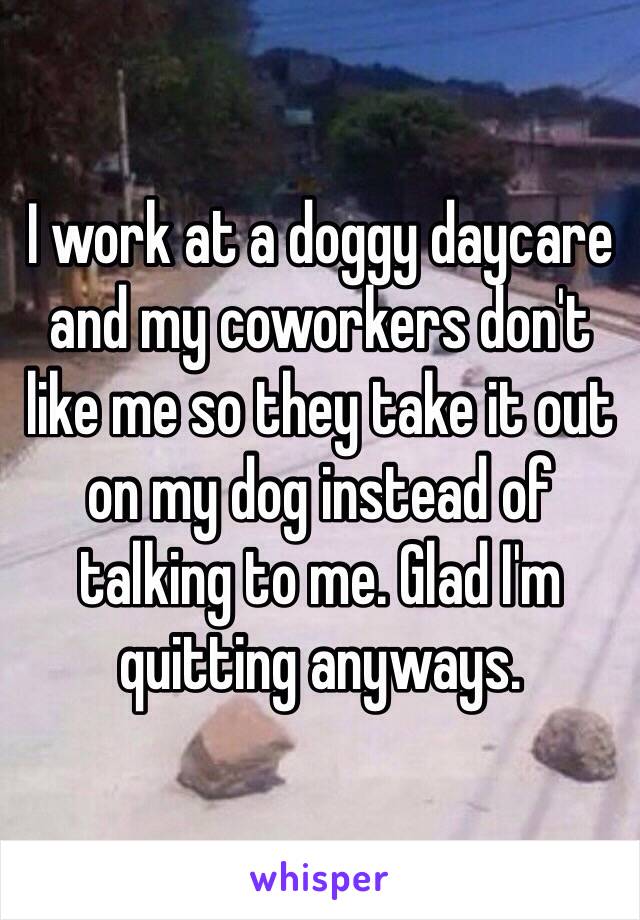 I work at a doggy daycare and my coworkers don't like me so they take it out on my dog instead of talking to me. Glad I'm quitting anyways.
