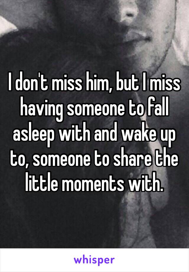 I don't miss him, but I miss having someone to fall asleep with and wake up to, someone to share the little moments with.