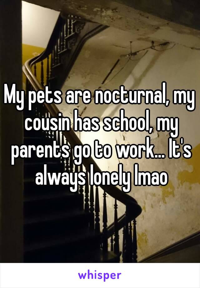 My pets are nocturnal, my cousin has school, my parents go to work... It's always lonely lmao