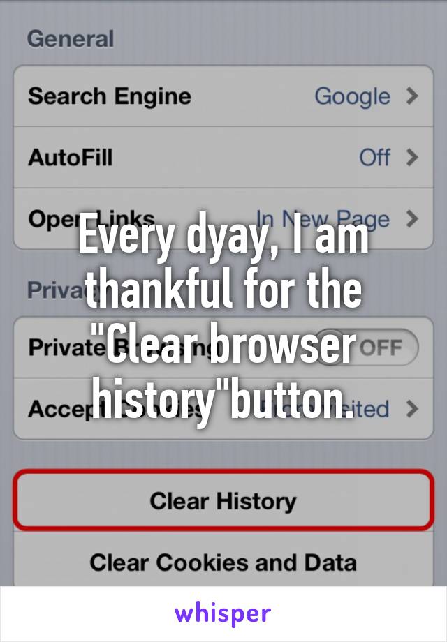 Every dyay, I am thankful for the "Clear browser history"button.
