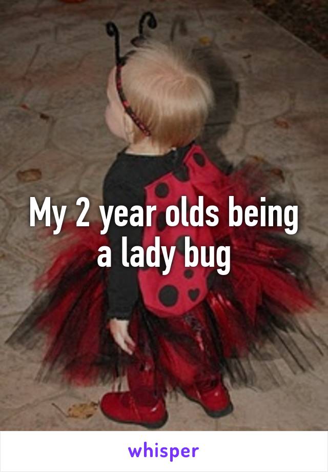 My 2 year olds being a lady bug