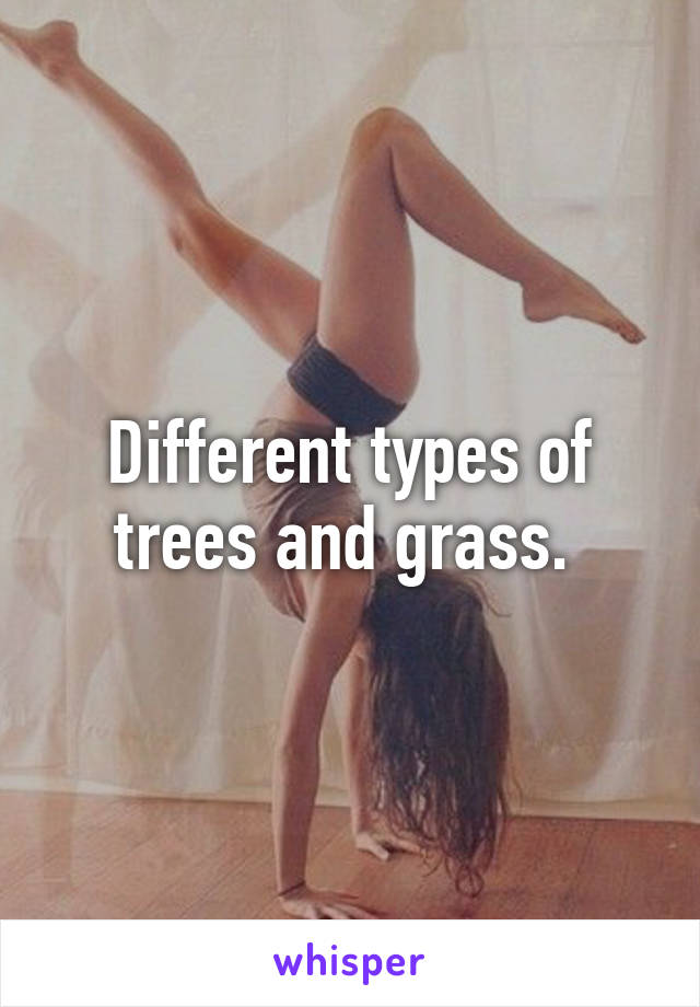 Different types of trees and grass. 