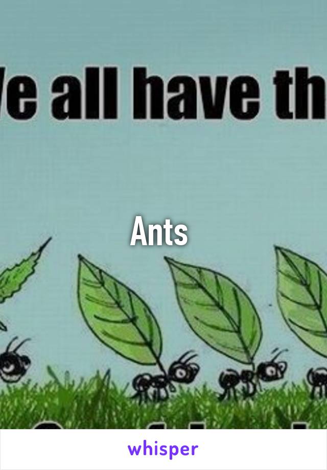 Ants 